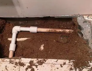 高唐测漏水哪家好