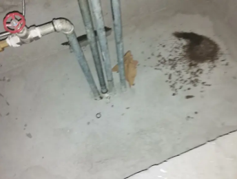 高唐卫生间测漏水价格明细